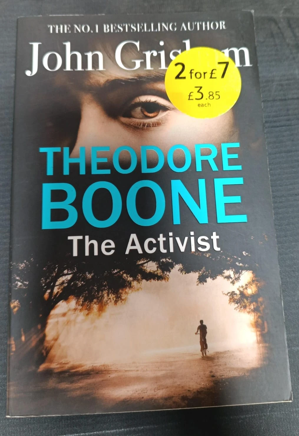 THEODORE BOONE: THE ACTIVIST